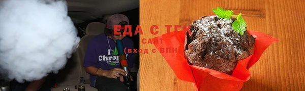 тгк Абаза