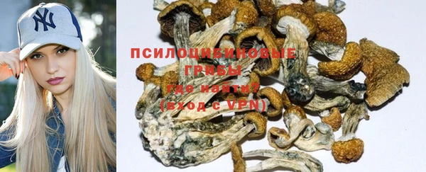 хмурый Абинск